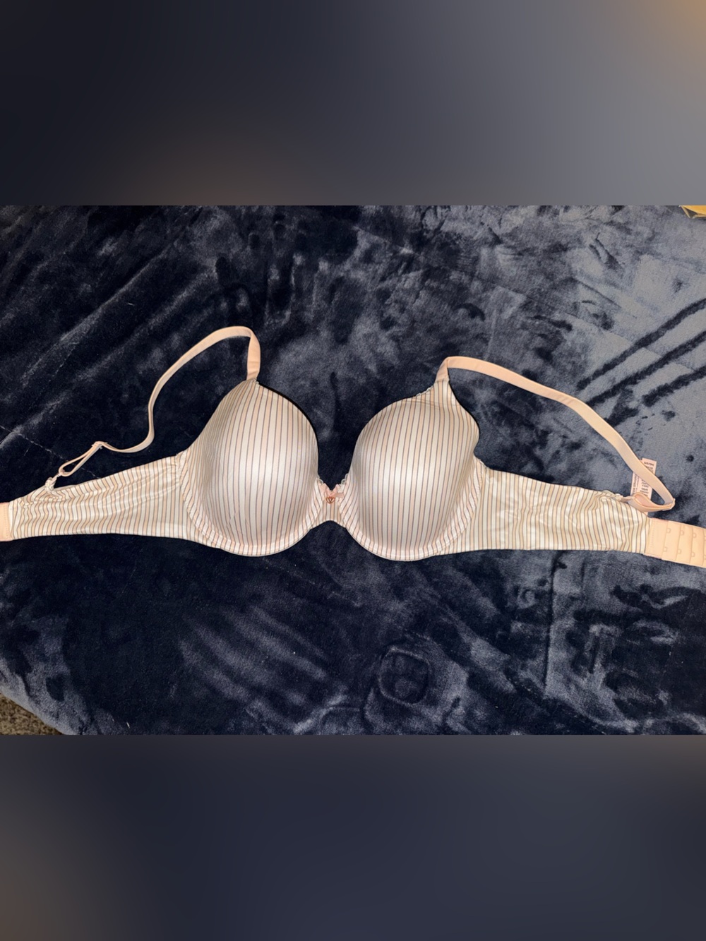 NWOT Striped full coverage T-Shirt Bra in Light pink